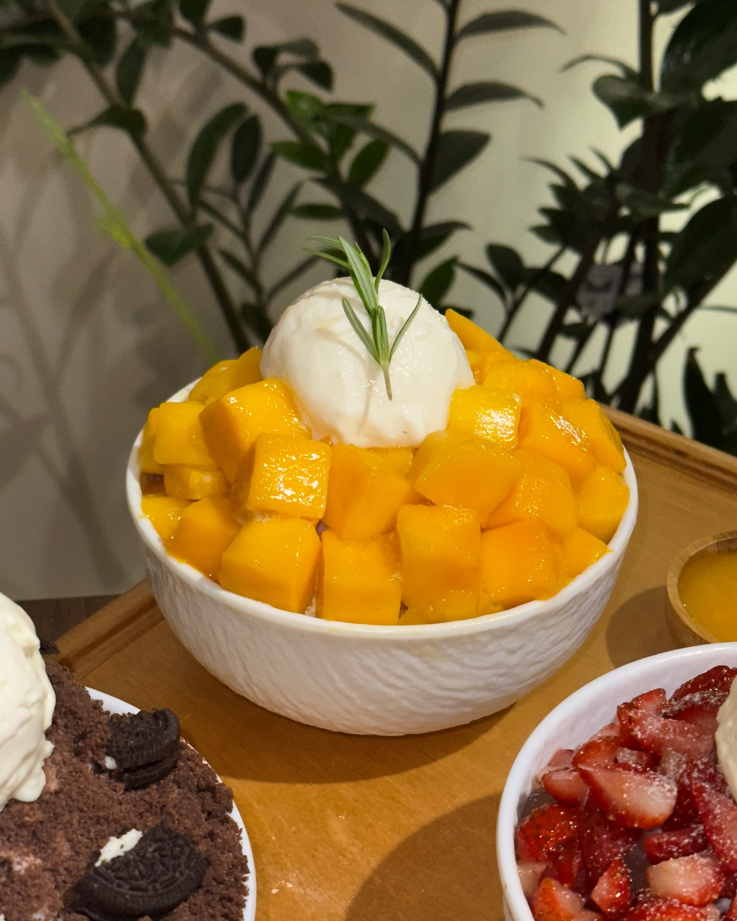 Photo by cocochou.uz